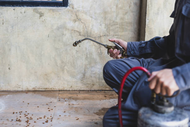 Best Affordable Pest Control Services  in Matamoras, OH